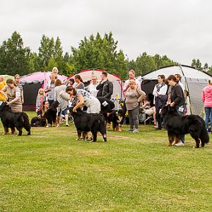 IMG_8099