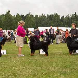 IMG_8104