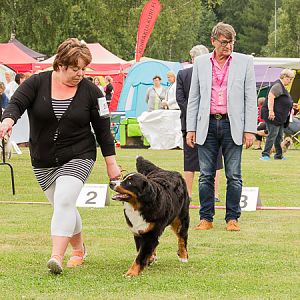 IMG_8132