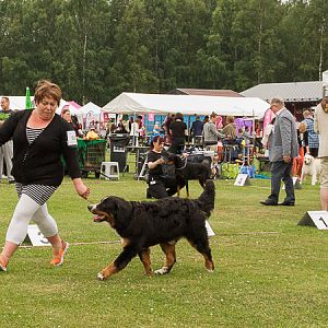 IMG_8145