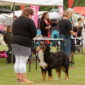 IMG_8153