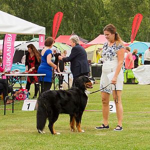 IMG_8176