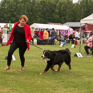 IMG_8188