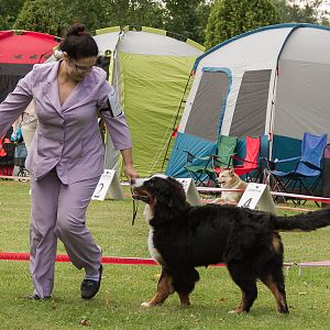 IMG_9078