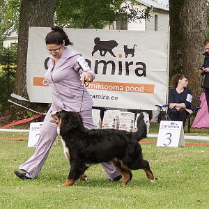 IMG_9083