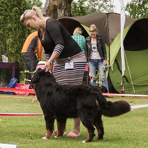IMG_9106