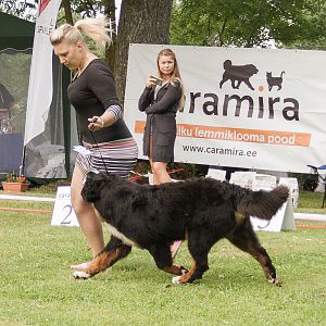IMG_9115