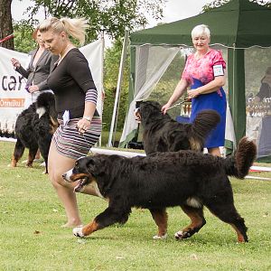 IMG_9117