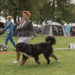 IMG_9125