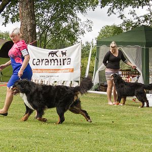 IMG_9135