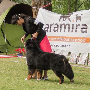 IMG_9155