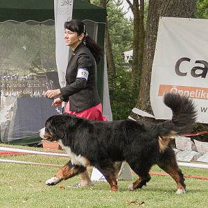 IMG_9177