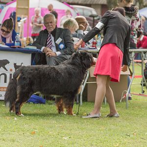 IMG_9188
