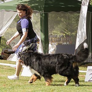 IMG_9210