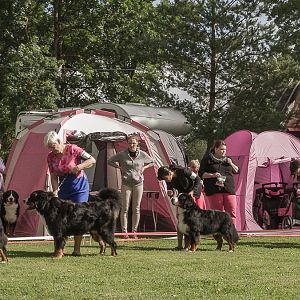 IMG_9237