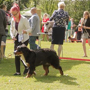 IMG_9308