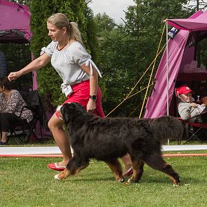 IMG_9347