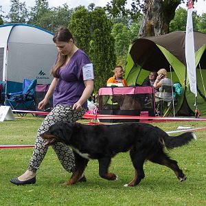 IMG_9431