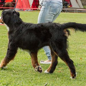 IMG_9454