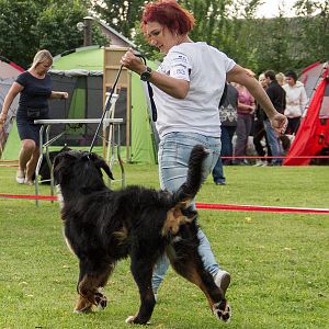 IMG_9457