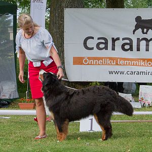IMG_9486