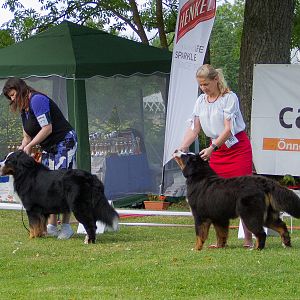 IMG_9498