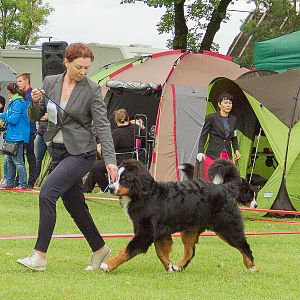 IMG_9635