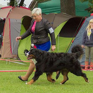 IMG_9638