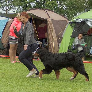 IMG_9647