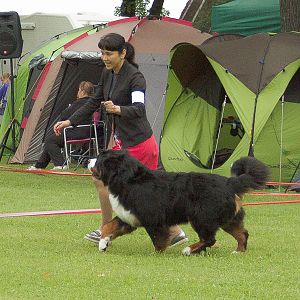 IMG_9676