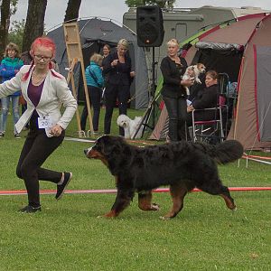IMG_9734
