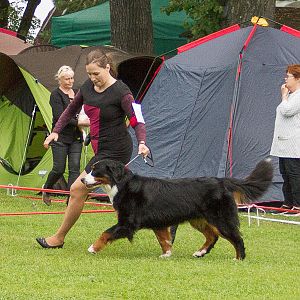 IMG_9739