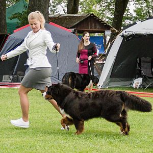 IMG_9767