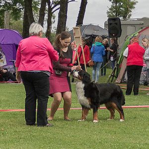 IMG_9773