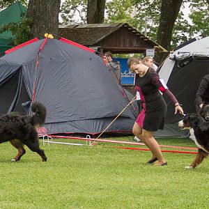 IMG_9780