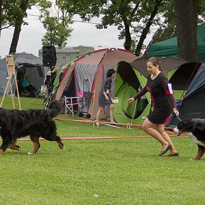 IMG_9784