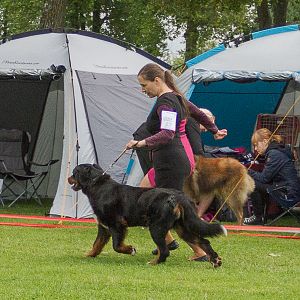 IMG_9823