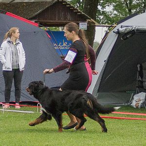 IMG_9824
