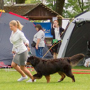 IMG_9836