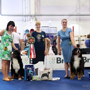 IMG_8071