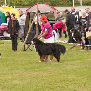 IMG_2049