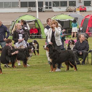IMG_2055