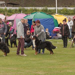 IMG_2060