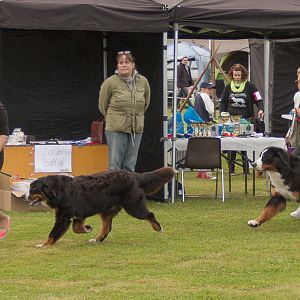 IMG_2072