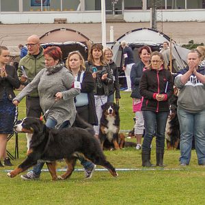 IMG_2079