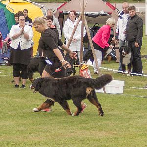 IMG_2089