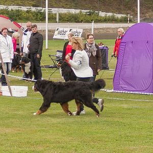 IMG_2090
