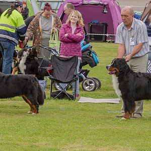 IMG_2154