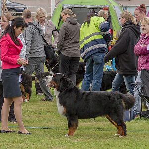 IMG_2161