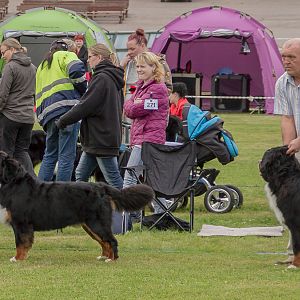 IMG_2162